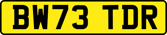 BW73TDR