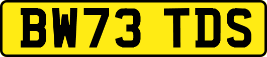 BW73TDS