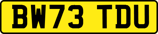 BW73TDU