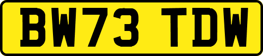 BW73TDW