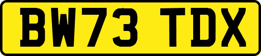 BW73TDX