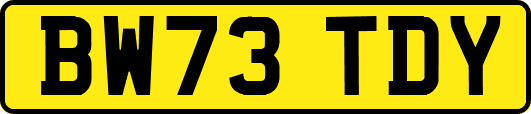 BW73TDY