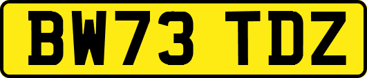 BW73TDZ