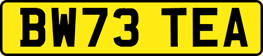 BW73TEA