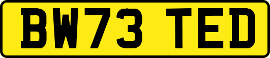 BW73TED