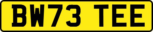 BW73TEE