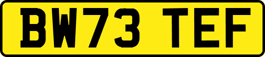 BW73TEF