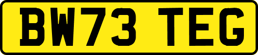 BW73TEG