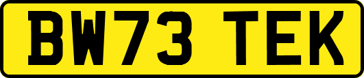 BW73TEK