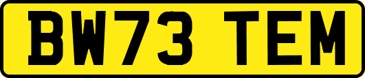 BW73TEM