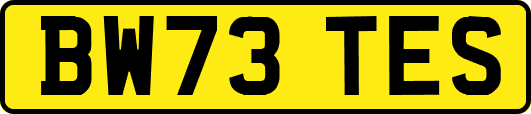 BW73TES