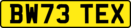 BW73TEX
