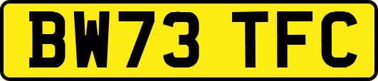 BW73TFC