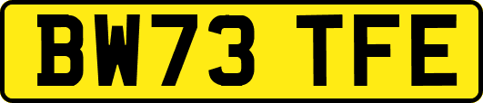 BW73TFE