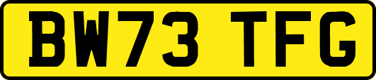 BW73TFG