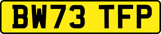 BW73TFP