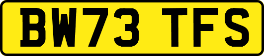 BW73TFS