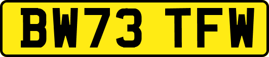 BW73TFW