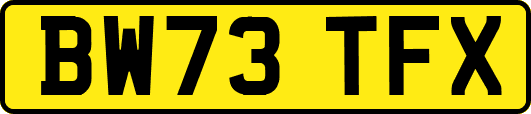 BW73TFX