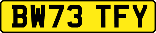 BW73TFY