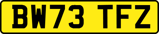 BW73TFZ