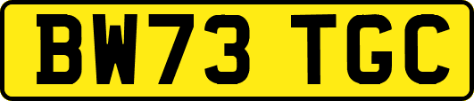 BW73TGC