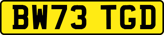 BW73TGD
