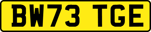 BW73TGE