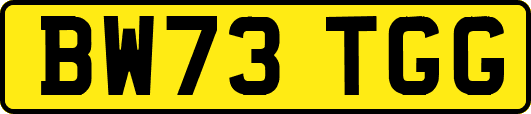 BW73TGG