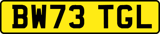 BW73TGL
