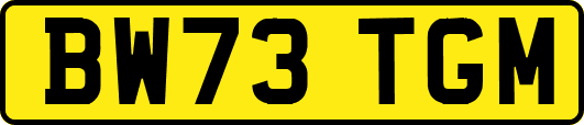 BW73TGM