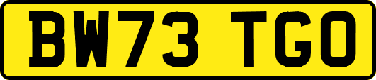 BW73TGO
