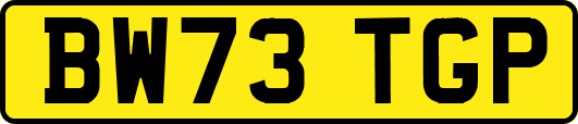 BW73TGP