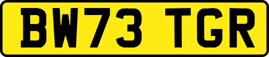 BW73TGR