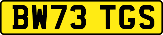 BW73TGS