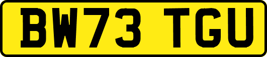 BW73TGU