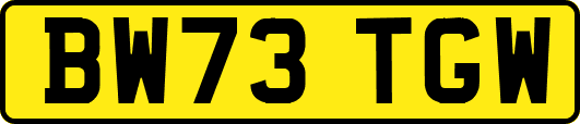 BW73TGW