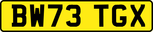 BW73TGX