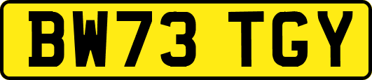 BW73TGY