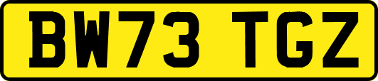 BW73TGZ