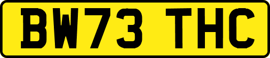 BW73THC