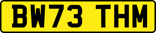 BW73THM