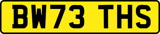 BW73THS
