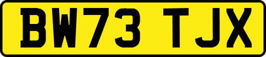 BW73TJX