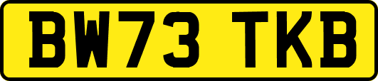 BW73TKB
