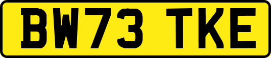 BW73TKE