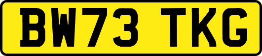 BW73TKG