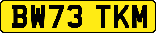 BW73TKM