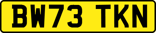 BW73TKN