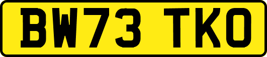 BW73TKO
